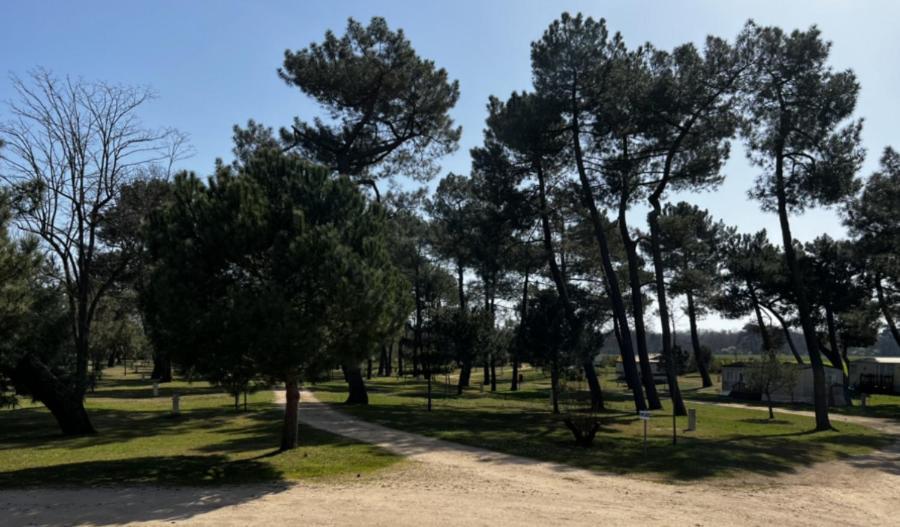 Camping La Maltournee Sigloy 외부 사진